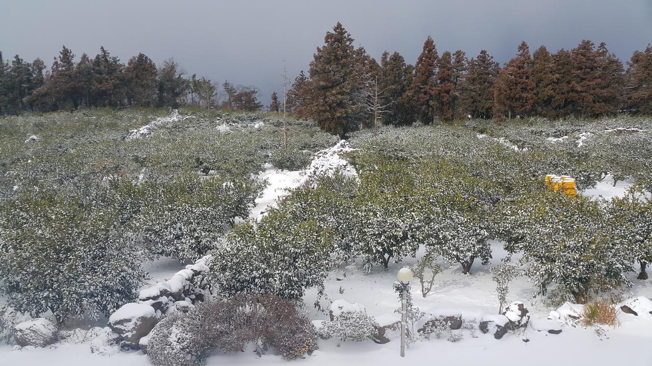 Jeju Mermuri Yerye-dong Екстер'єр фото