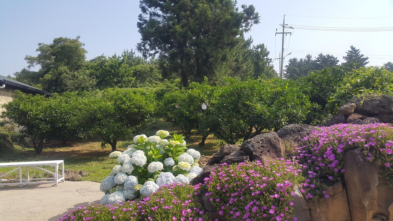 Jeju Mermuri Yerye-dong Екстер'єр фото