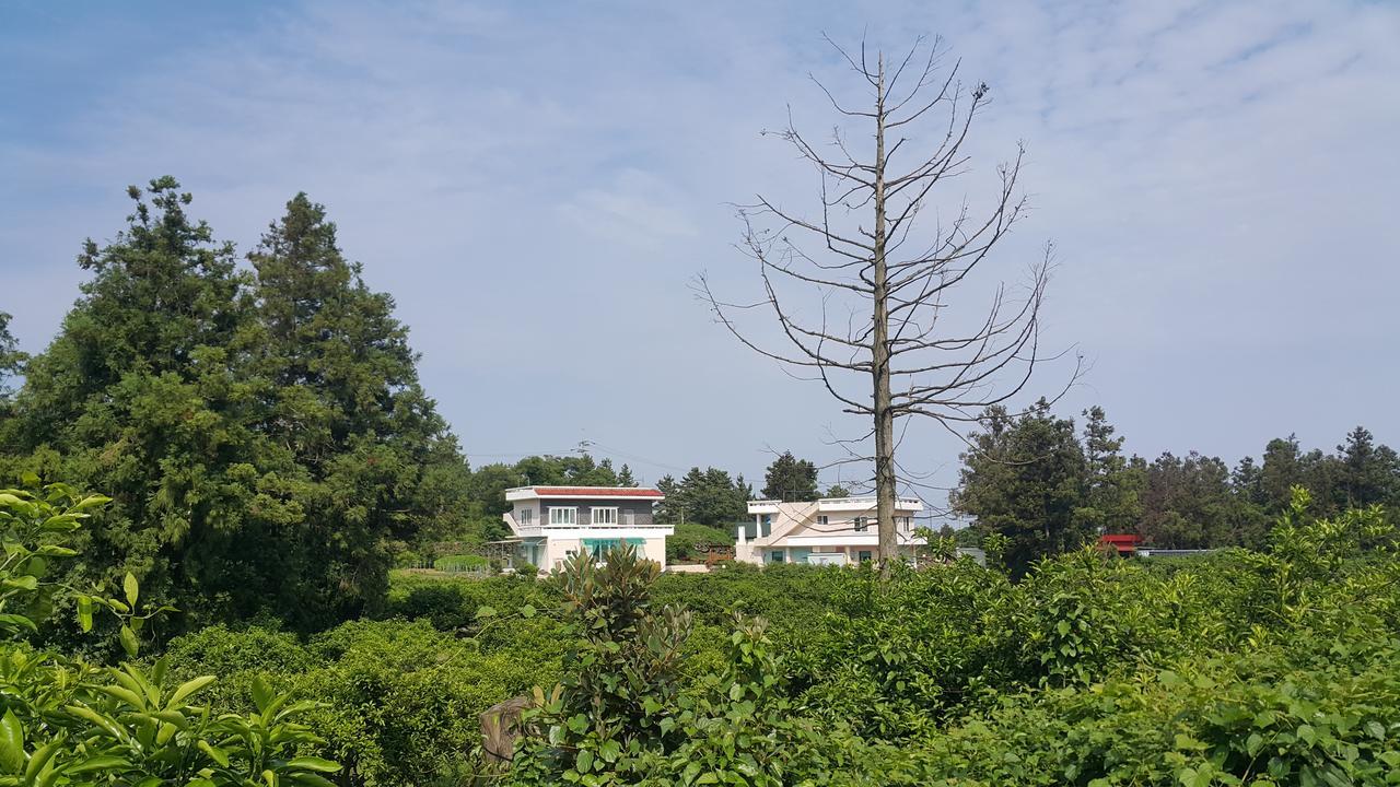 Jeju Mermuri Yerye-dong Екстер'єр фото