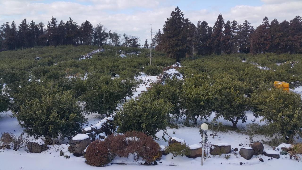 Jeju Mermuri Yerye-dong Екстер'єр фото
