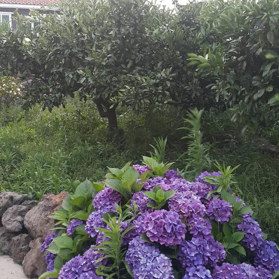 Jeju Mermuri Yerye-dong Екстер'єр фото