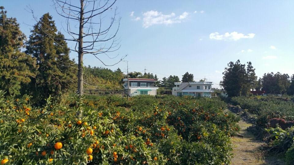 Jeju Mermuri Yerye-dong Екстер'єр фото