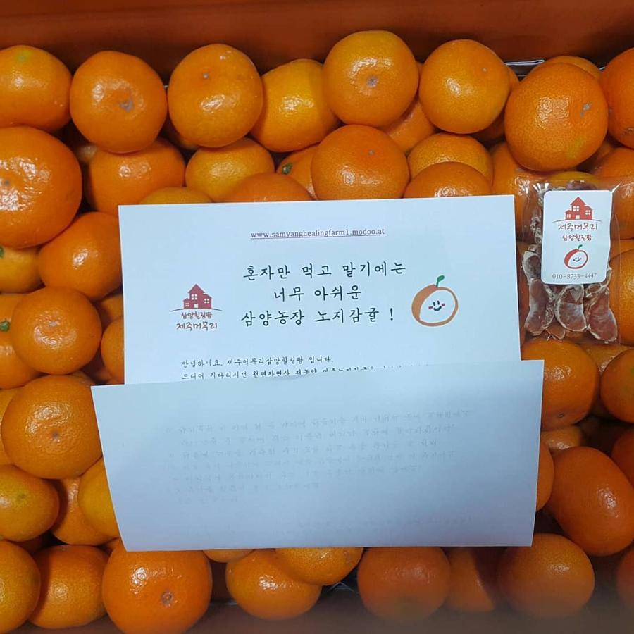 Jeju Mermuri Yerye-dong Екстер'єр фото
